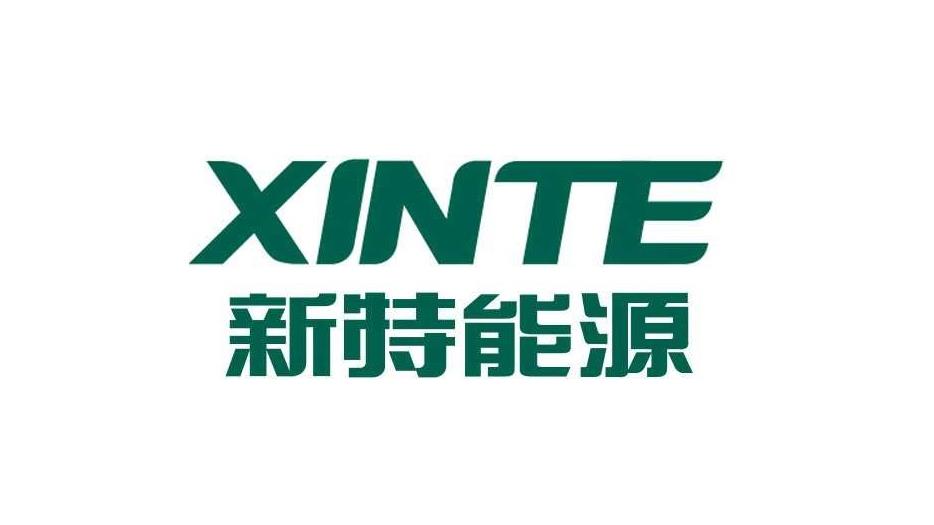 新疆新特能源股份有限公司