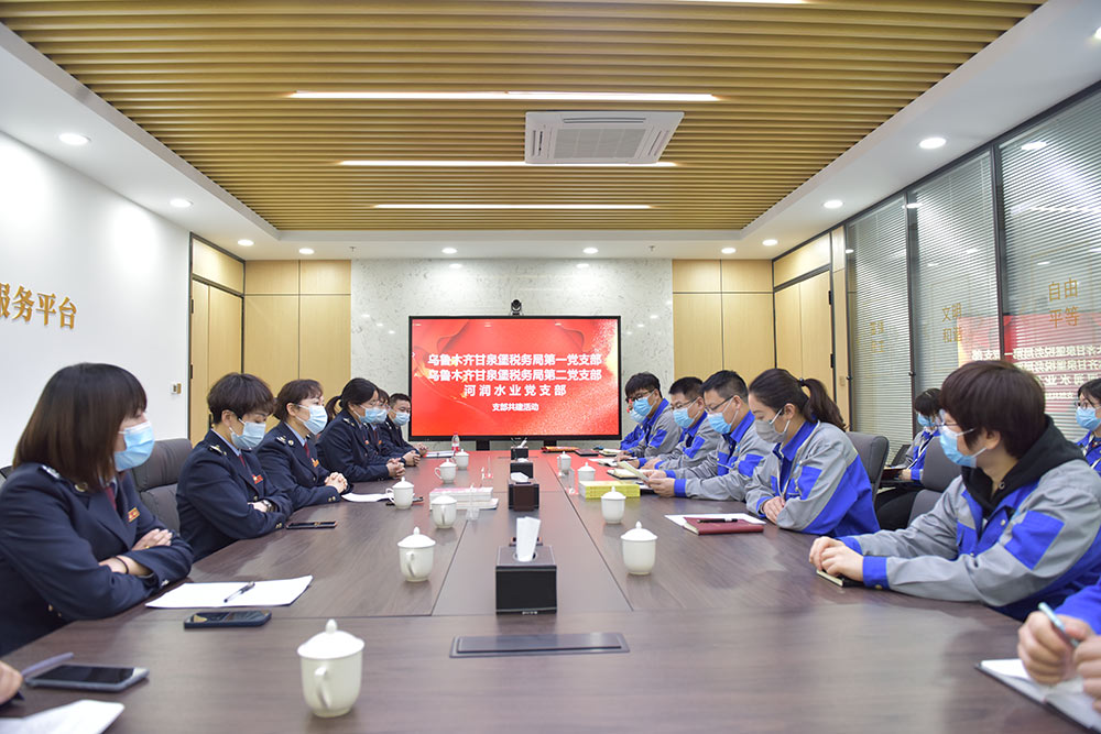 开展支部共建座谈会